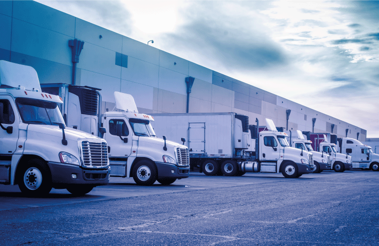 Control del transporte. TMS