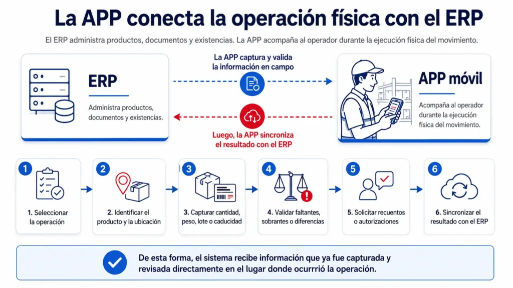 Infografía del flujo entre una APP móvil de almacén y un ERP para capturar, validar y sincronizar operaciones de inventario. Descripción: La imagen muestra cómo la APP conecta la operación física del almacén con el ERP. El operador selecciona la operación, identifica el producto y la ubicación, captura cantidades, peso, lote o caducidad, valida diferencias, solicita recuentos o autorizaciones y finalmente sincroniza la información revisada con el sistema.